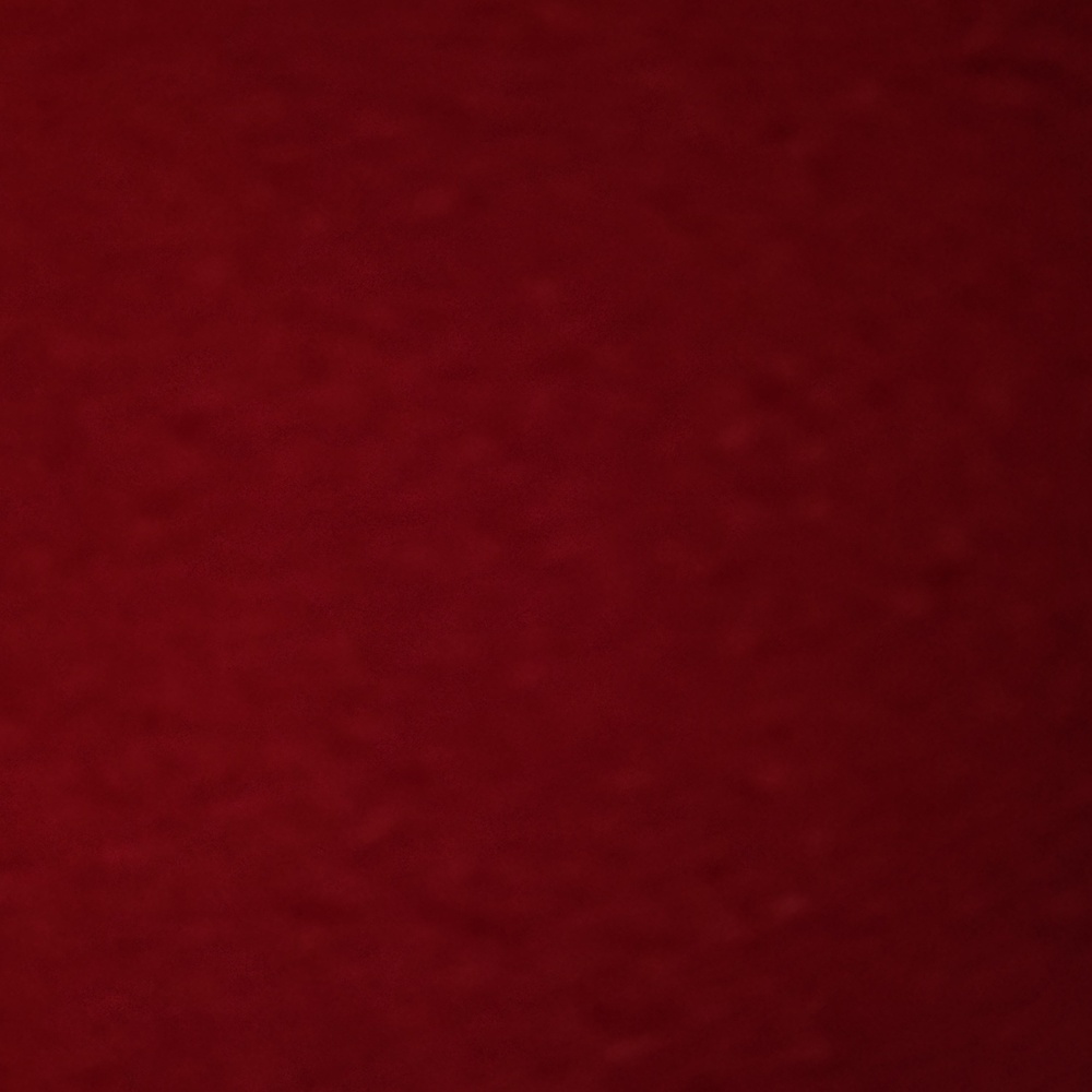 Rich Red fall coat - Picture 4 of 4